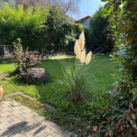 Apartment Laura Wilderswil Dış mekan fotoğraf