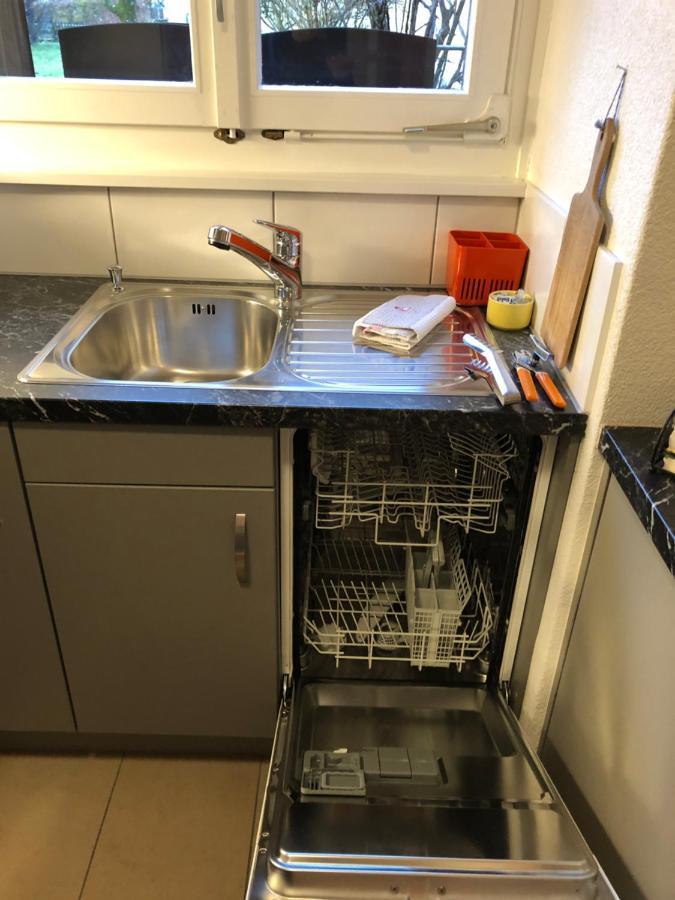 Apartment Laura Wilderswil Dış mekan fotoğraf