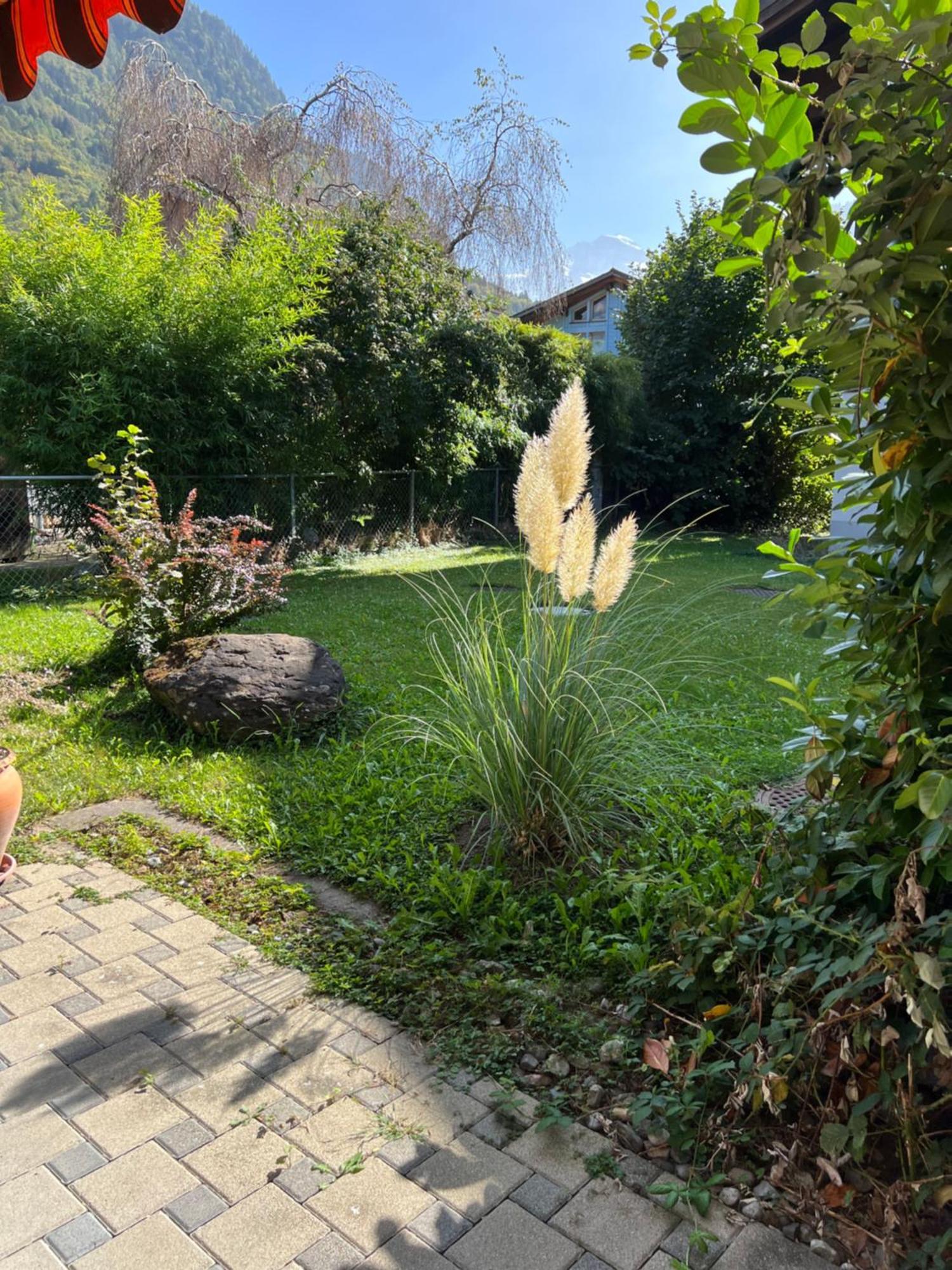 Apartment Laura Wilderswil Dış mekan fotoğraf